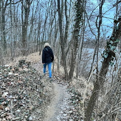 23-02-18 17-50-35 4286